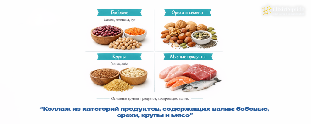 Коллаж из категорий продуктов содержащих валин- бобовые орехи крупы и мясо.png