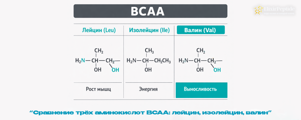 Сравнение трёх аминокислот BCAA- лейцин изолейцин валин.png