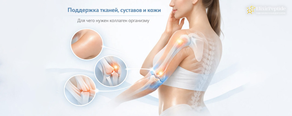 Для чего нужен коллаген организму .jpg
