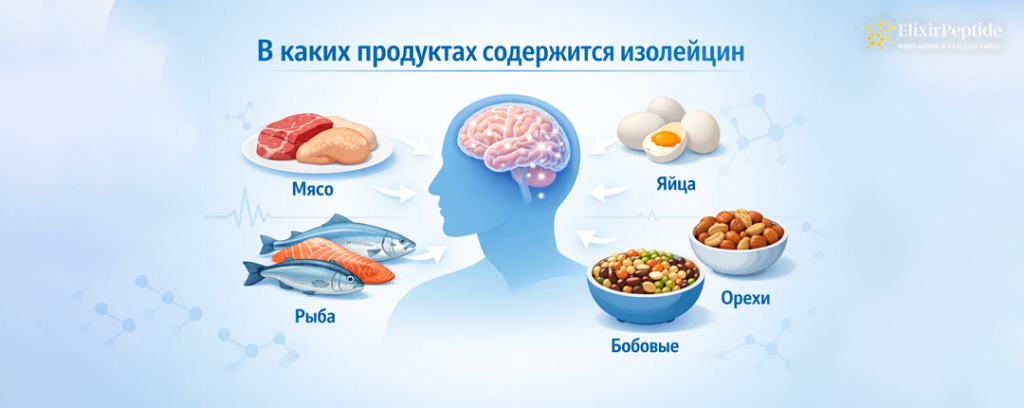 В каких продуктах содержится изолейцин.png В каких продуктах содержится изолейцин.png