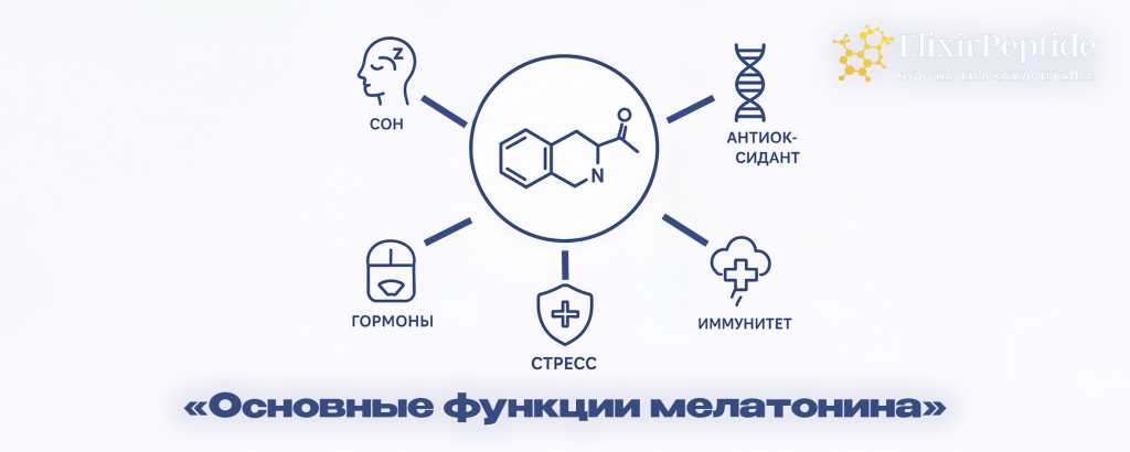 Основные функции мелатонина .png