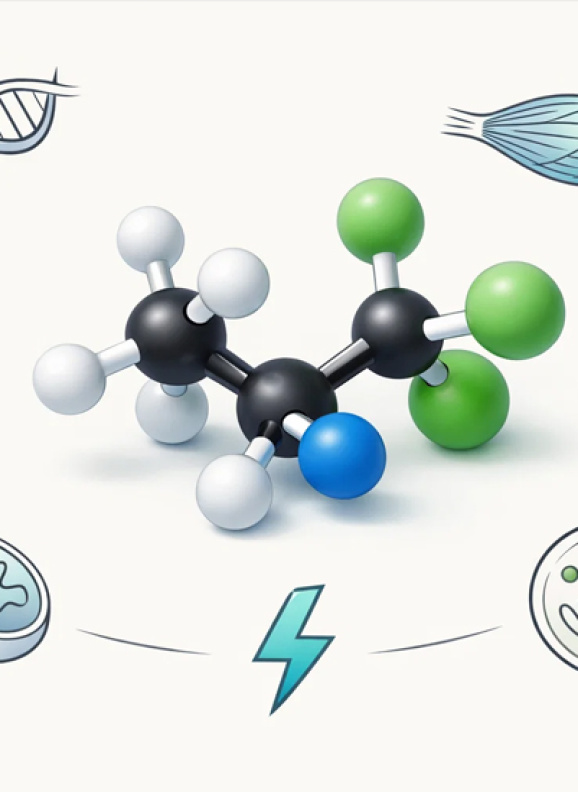 Продукты с высоким содержанием лейцина: таблица и научные данные